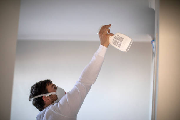 Mold Removal and Inspection in Kansas City, KS