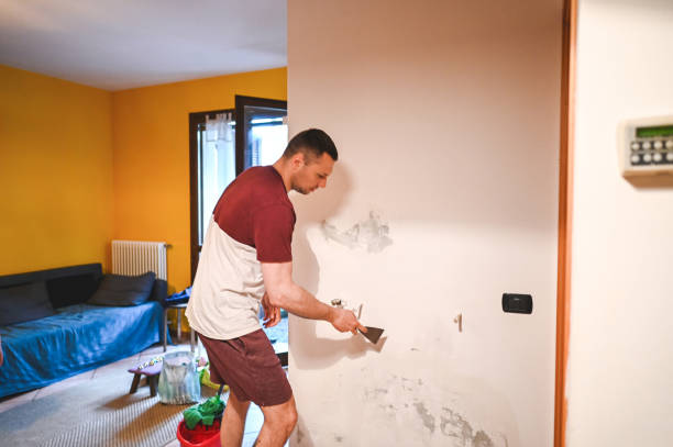 Best Black Mold Removal  in Kansas City, KS